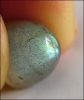 LABRADORITE (MADAGASCAR) � SUGARLOAF CABOCHON 4.79 CT. TALL CUSHION